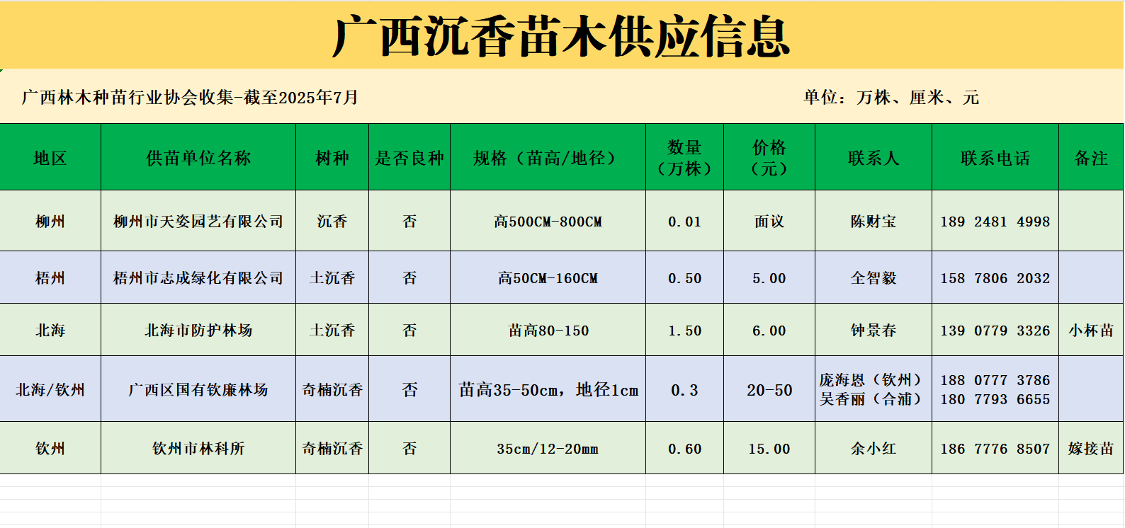 最新广西沉香苗木供应情况动态信息来了！