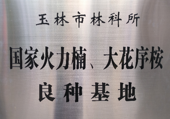 玉林市林科所国家火力楠、大花序桉良种基地