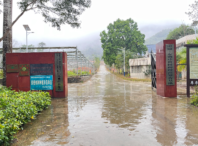中国林业科学研究院 凭祥国家西南桦、柚木良种基地